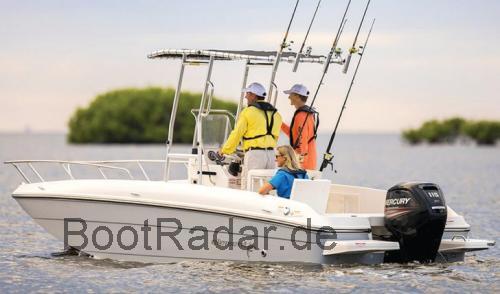 Bayliner Element F21  technische daten 